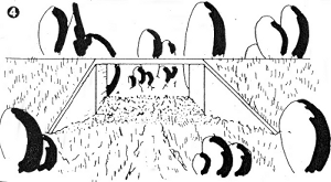 Flederm_3.GIF (41619 Byte)