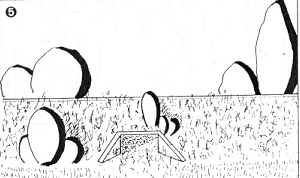 Flederm_4.GIF (38472 Byte)