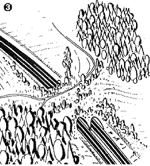 Flederm_2.GIF (144906 Byte)