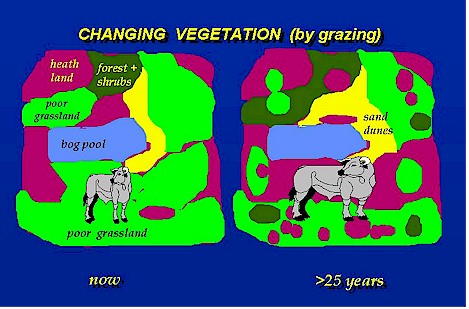 plaatjes grazing systems.jpg (62166 Byte)