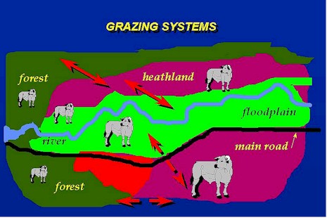 plaatjes natural system.jpg (53844 Byte)