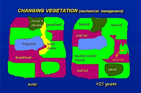 plaatjes rchanging by grazing.jpg (51534 Byte)